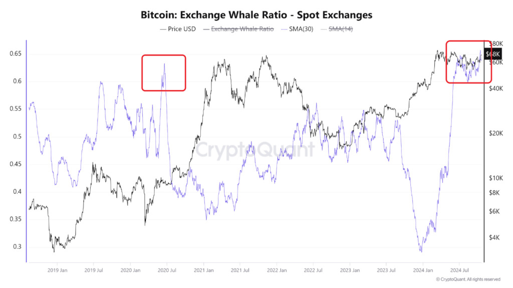 'Exchange Whale Ratio'