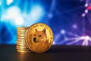 DOGE