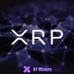 XY Miners