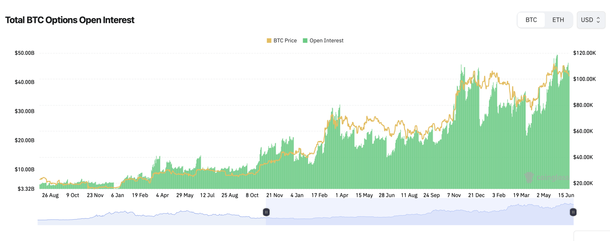 Bitcoin-opties open interest