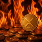 XRP verbanding